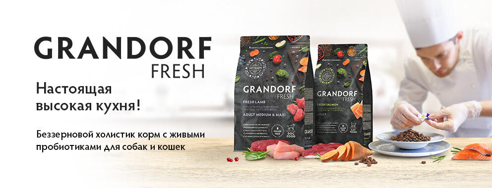 Grandorf Fresh