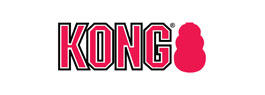 Kong (Конг)