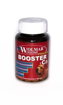 Wolmar Winsome Pro Bio Booster Ca минеральный комплекс для собак крупных пород, 360 шт