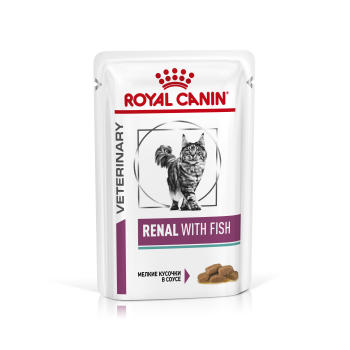 royal canin renal fish